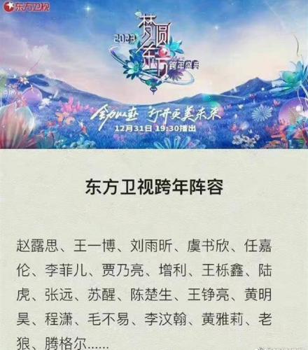 田震的演唱会(田震国际歌)插图12