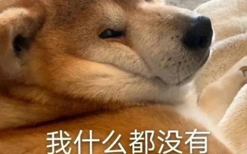 狗狗掉毛排行榜(不掉毛的犬种排名)