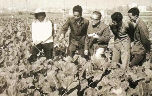 广东诱虫灯厂家排名前十(灭虫灯什么品牌最好)插图