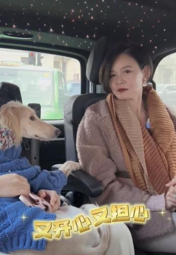 骆达华卢燕(骆达华老婆卢燕是哪里人)插图6