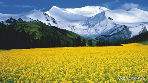塔城景点排行榜(新疆塔城最美旅游景点)插图6