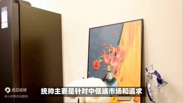 海尔统帅和海尔(海尔统帅和海尔品牌有什么区别)插图1