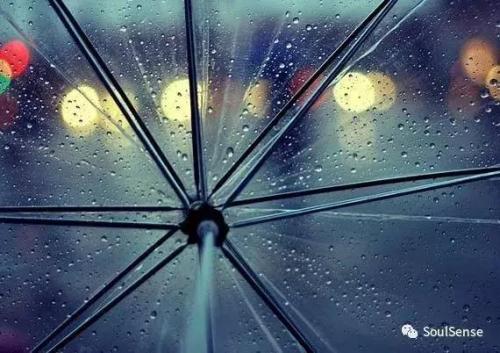世界雨伞品牌排行榜(十大名牌雨伞)插图5