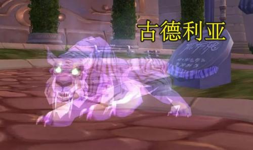 魔兽世界哪个灵魂兽最好抓(80级拉怪最稳的灵魂兽)插图3