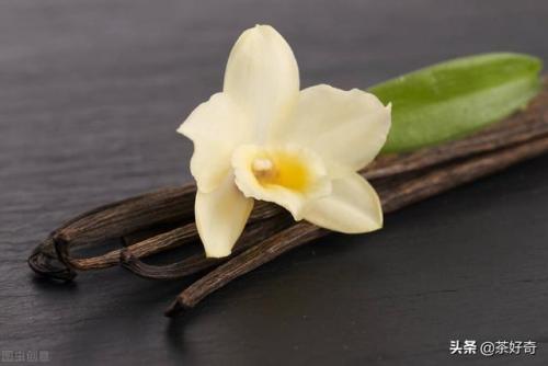 兰茶前十香水排名(全球最好闻的十大香水)插图5