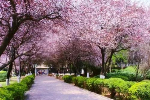 长沙高校校花排名前十(长沙校花)插图28