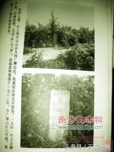 上海普陀区墓园排名前十(上海最大的公墓排名前十)插图11