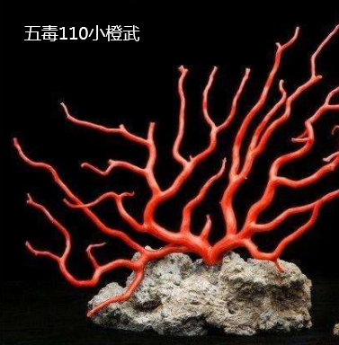 剑三唐门橙武(剑网三唐门历代大cw)插图66
