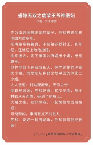 王妃的小说排行榜(王妃们花痴的穿越故事)插图1