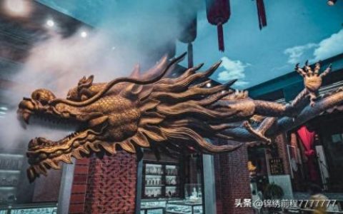 中国最漂亮排名前十的动物(中国最好动物排名)