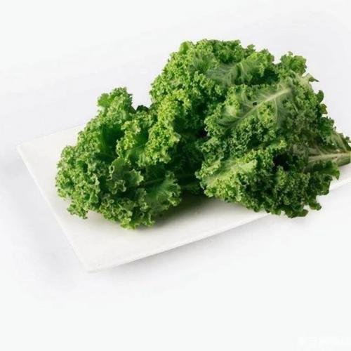 酸水果排行榜(十大最有营养的水果)插图16