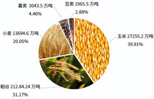台湾糯米产量排名前十(台湾农作物)插图2