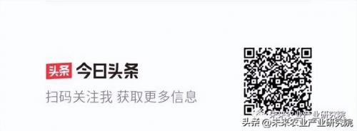 世界农业种类排名前十(世界主粮排名)插图9