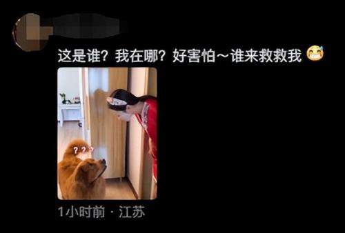 明星宠物面膜排名前十(全部明星的宠物的名字)插图36