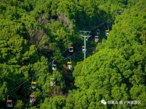 长沙最高索道排名前十(长沙岳麓山缆车开放时间)插图5