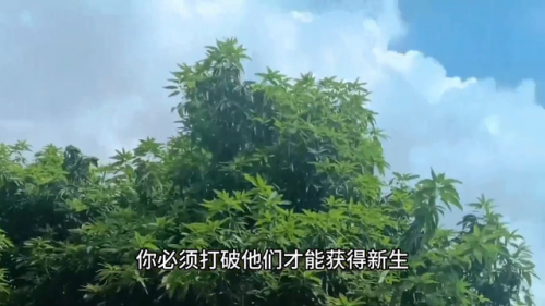 不破不立什么意思(破而后立是比喻爱情什么)插图