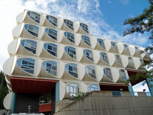 以色列最牛大学排名前十(以色列有哪些好的大学)插图5