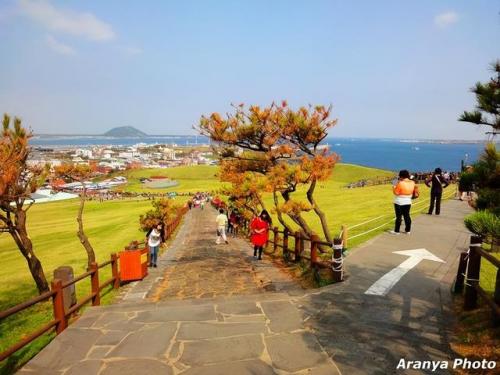 济州岛旅游攻略(济州岛必去的十大景点)插图36
