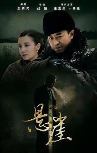 谍战片电视剧排行榜(十大公认最好看的谍战剧)插图4