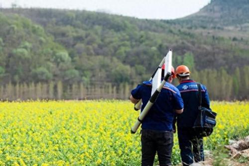山东网络治理实力排名前十(山东省网络安全测评)插图2