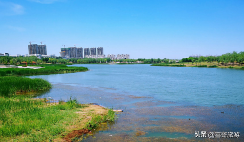 定陶景点排行榜(定陶一日游必去景点)插图5