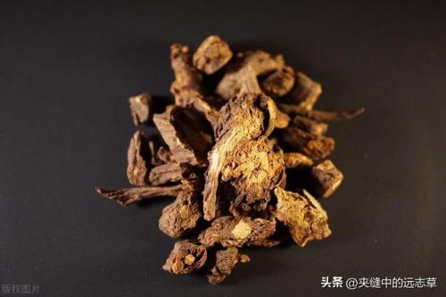 桑寄生的功效与作用及食用方法(钩藤的功效与作用)插图3