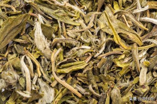 兰茶前十香水排名(全球最好闻的十大香水)插图7