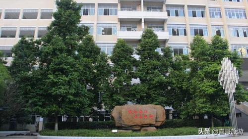 合川景点排行榜(合川十大必去景点)插图7