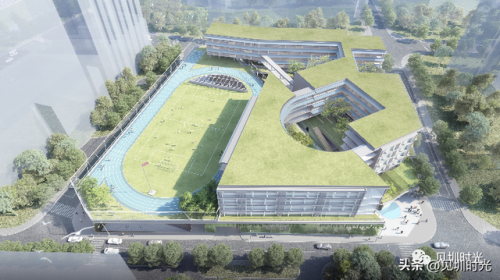 龙城私立小学排名前十(南湖小学是公立还是私立)插图9