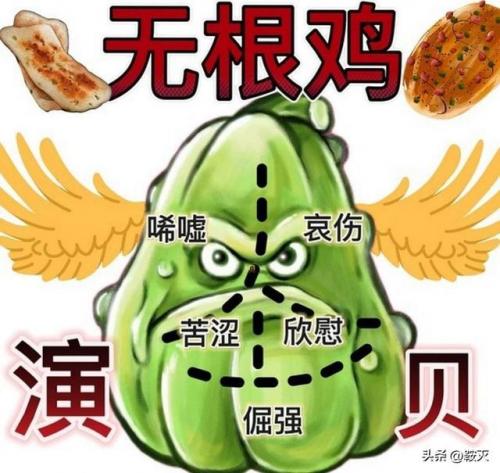 倒膜排行榜(2023哪款倒模最值得入手)插图16