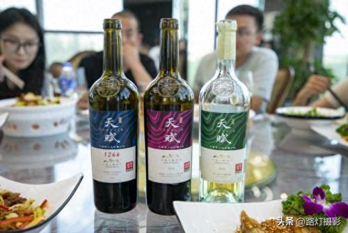 福建品质葡萄酒排名前十(精酿葡萄酒排名前十名品牌)插图12