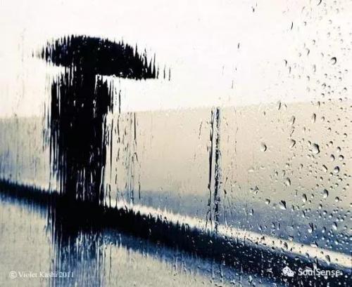 世界雨伞品牌排行榜(十大名牌雨伞)插图2