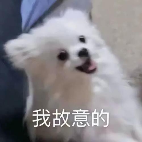 蓝光光驱(蓝光刻录机哪个牌子好)插图11
