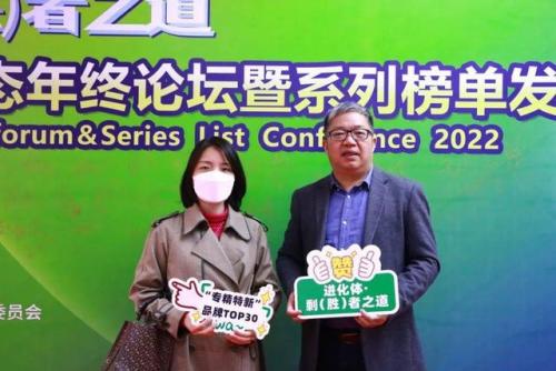 世界国家陶瓷排名前十(全球瓷砖十大名牌排行榜)插图12