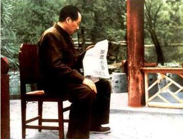 麻雀是谁(麻雀唐山海是什么身份)插图2