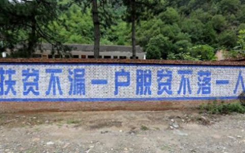 卢氏县十大首富排行榜(卢氏首富马怀成)
