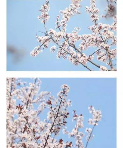 长沙高校校花排名前十(长沙校花)插图6