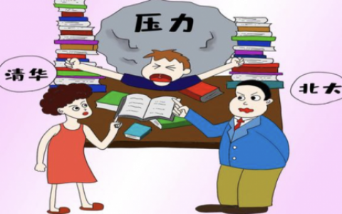 学生补脑保健品排行榜(十大品牌补脑增强记忆力)