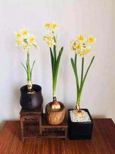 斗战神广寒仙姬本源技(斗战神飞升技能前后比较)插图13