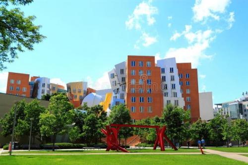 世界名校排行榜前十名(斯坦福大学申请条件)插图3