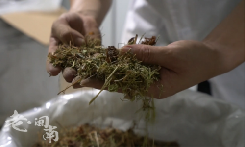 晋江茶叶厂家排名前十(福建知名茶叶企业有哪些)插图6