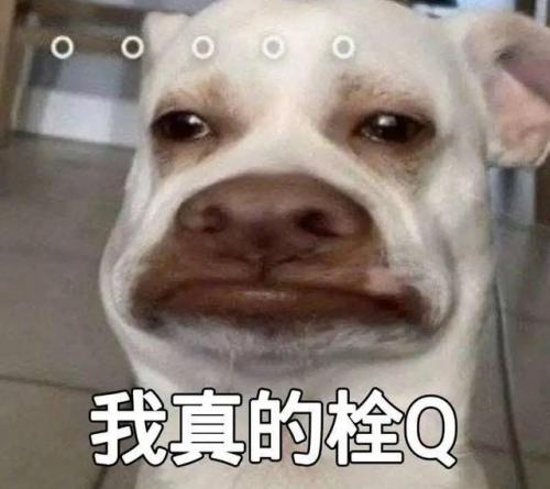 热词搜索排行榜(关键词热度查询工具)插图9