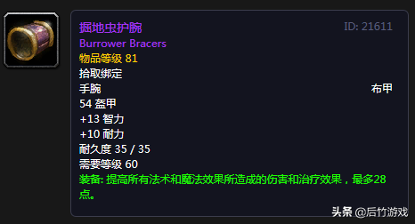 厄运召唤者的头饰(野兽召唤者套掉落)插图28