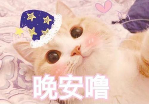 煞科是什么意思(煞科的原版叫什么)插图17