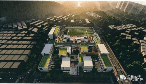 龙城私立小学排名前十(南湖小学是公立还是私立)插图11