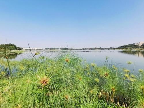 淡水野餐地点排名前十(惠州野炊地点推荐)插图16
