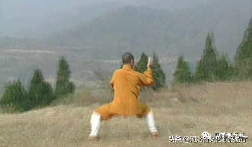 美国功夫排行榜(功夫当年在国外的评价)插图4
