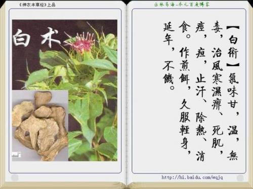 本草纲目中药大全(12000种中草药大全)插图18
