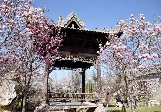 鄢陵景点排行榜(鄢陵一日游景点大全)插图2