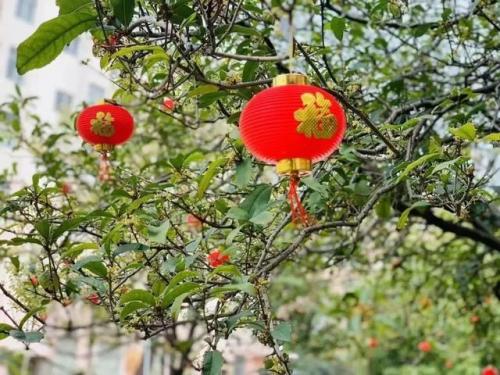 东莞高校校花排名前十(东莞最好的大学是哪一所)插图24